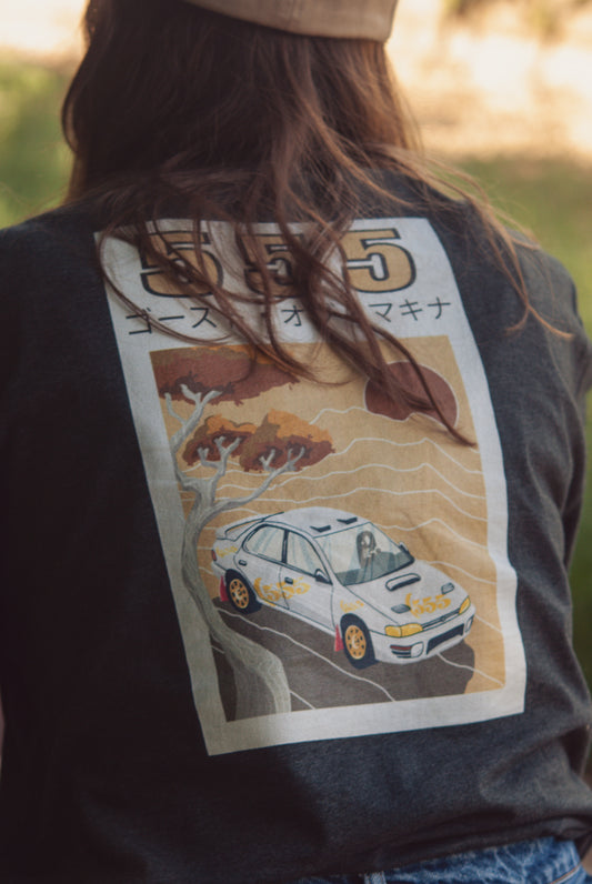 Projet 555